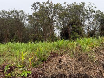 Road 4 Lot 209, Mountain View, HI, 96771