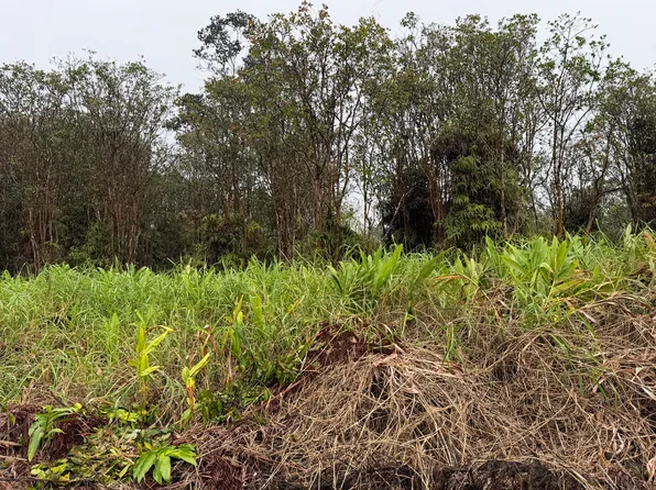 Road 4 Lot 209, Mountain View, HI 96771