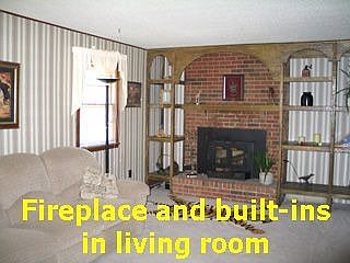 Fireplace and built-ins in living room