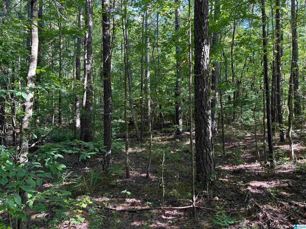 Trammell Motorway Parcels #2, Sylacauga, AL 35150