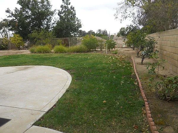 Family room with fireplace leads out to views of the wide backyard with fruit trees