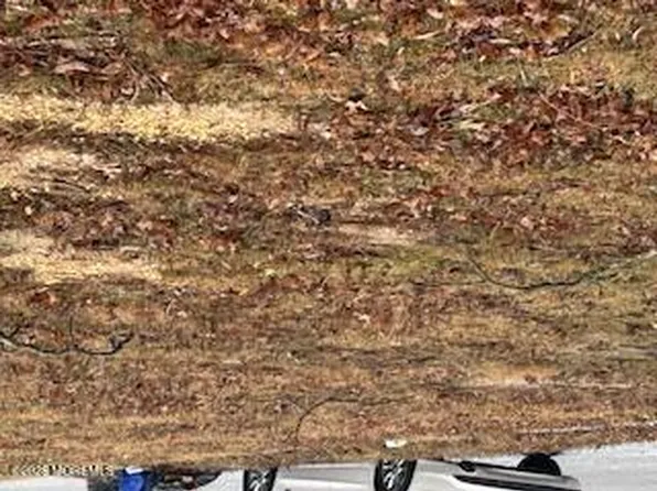 172 Chelton Avenue, Long Branch, NJ 07740