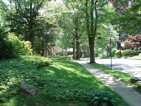 A Quiet Neighborhood