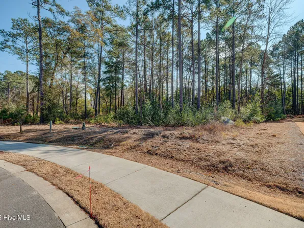1628 Osprey Cove Ct Lot 43, Wilmington, NC 28401