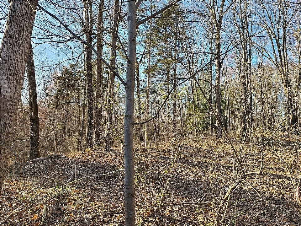 2nd image of 103 Cardinal Rd