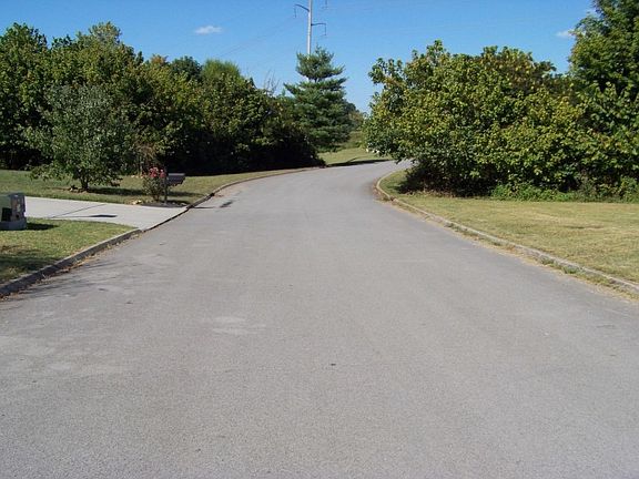 5th image of 8724 Finchwood Ln