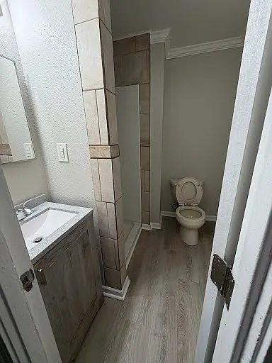 3 bed, 765 sqft, $1,200 — Photo 4
