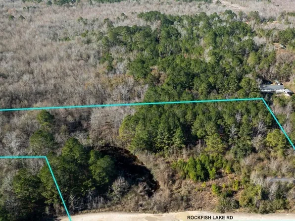 91 Rockfish Lake Road, Maple Hill, NC 28454