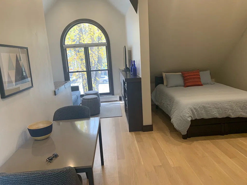 Studio, 455 sqft, $3,000 — Photo 4