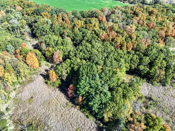 Vl W Hickory Rd Lot Wp001, Hickory Corners, MI 49060