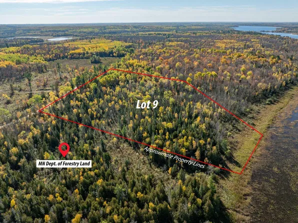Little Anglers Trl NE Lot 9, Remer, MN 56672