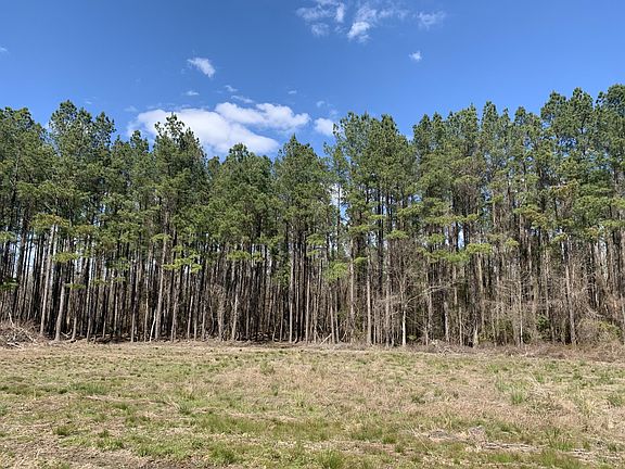 5th image of 1331 Wood Sorrel Dr