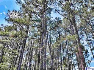 717 Je Talbert Rd, Pageland, SC 29728