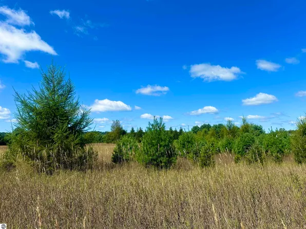 0 Psutka Rd, Thompsonville, MI 49683