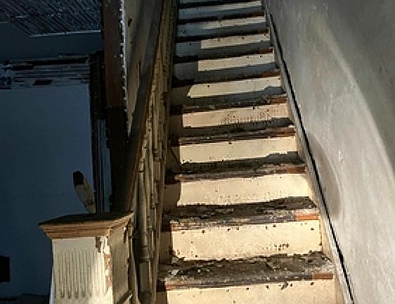 Steps