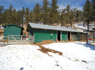 31027 Sunset Trl, Pine, CO 80470