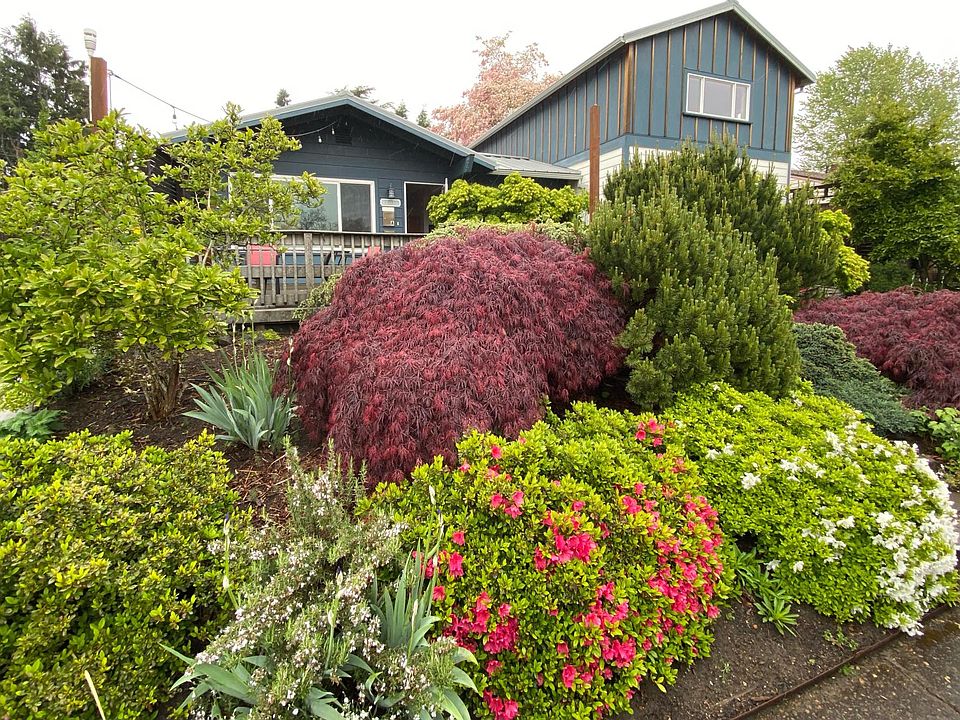 Front of the house