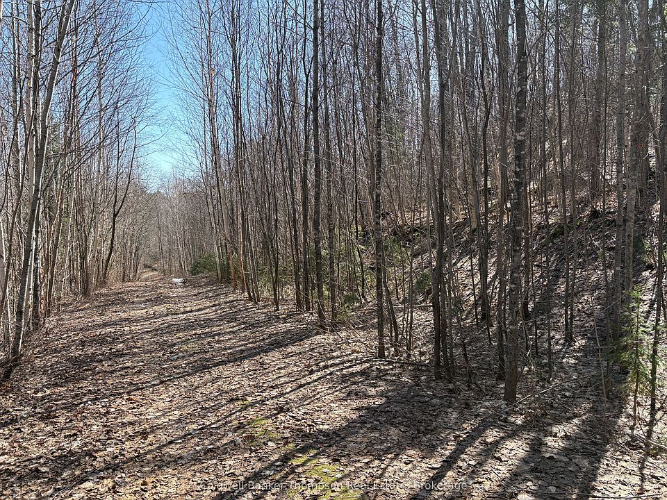 1st image of 0 Hamilton Lake Rd