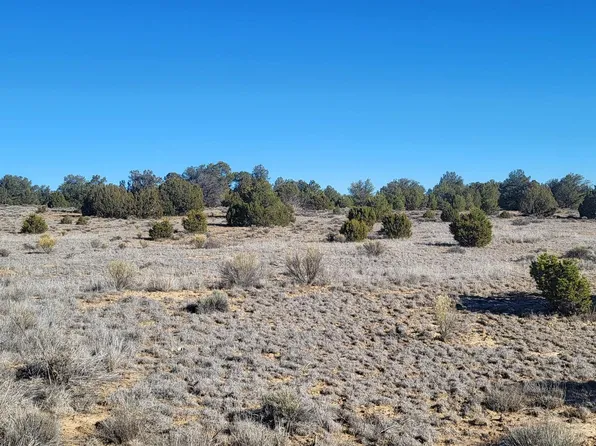 Arrowhead Rd, Pinehill, NM 87357