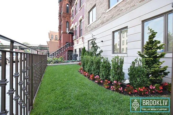 Rented by null | media 32