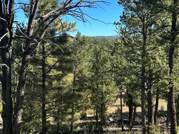 59 Silver Feather Trl, Pecos, NM 87552