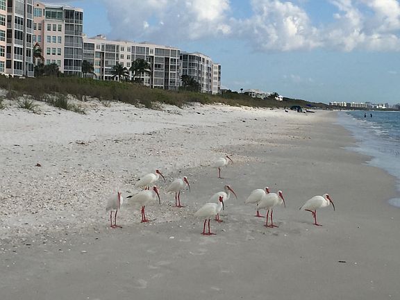 Wildlife abounds. 