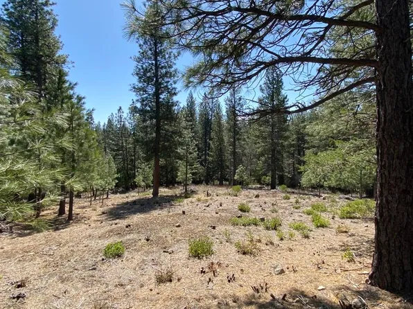 LOT 25 Meadow Ln, Weed, CA 96094