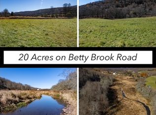 LOT 6 Betty Brook Rd Lot 16, South Kortright, NY 13842