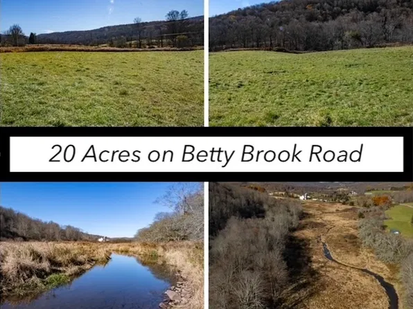 LOT 6 Betty Brook Rd Lot 16, South Kortright, NY 13842