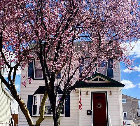 2nd image of 28 Maine Ave