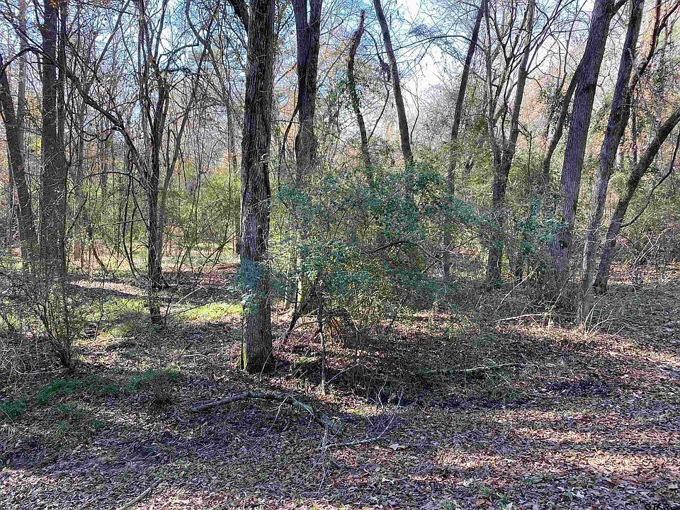 2nd image of LOT 11 Carene