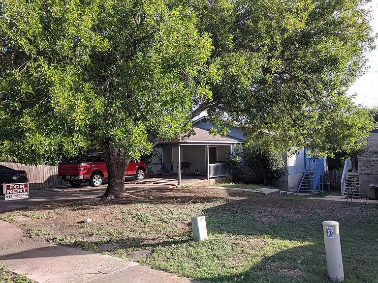 Mature tree in front yard