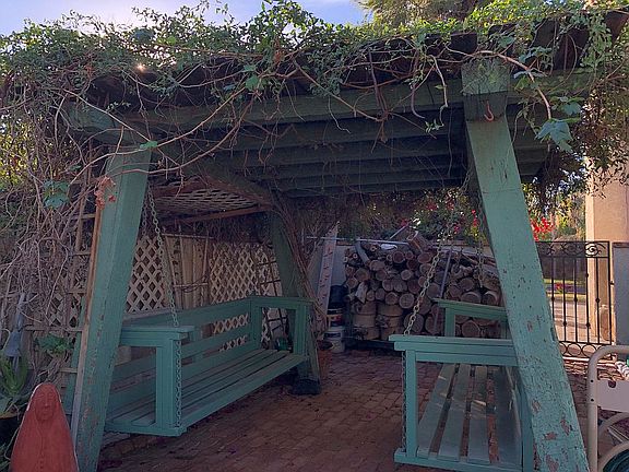 Grape vines & Double Swing