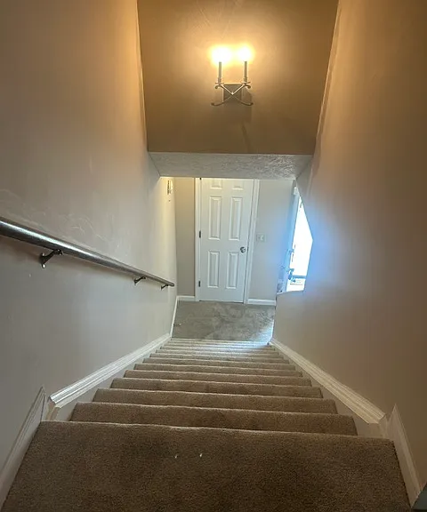 242 Thistle Ln — Photo 13