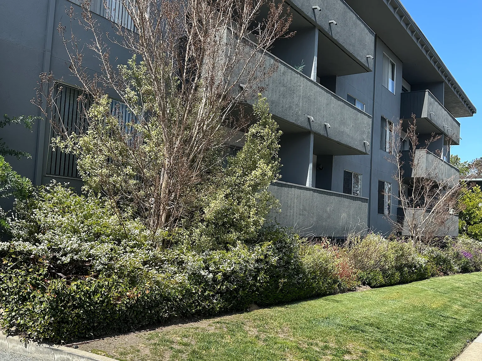 1840 Sequoia Avenue — Photo 2