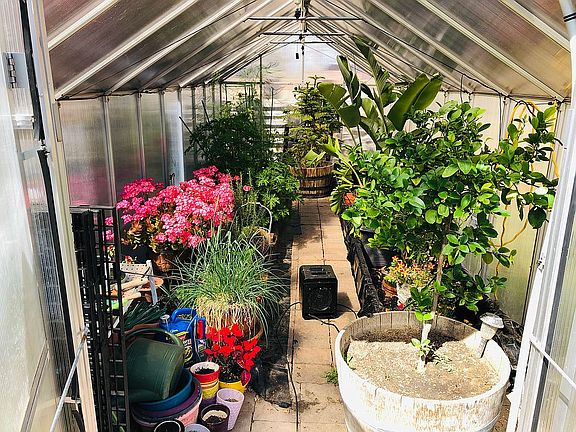 Greenhouse 
