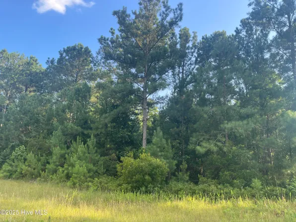 61 Arant Farm Rd Lot 61, Merritt, NC 28556