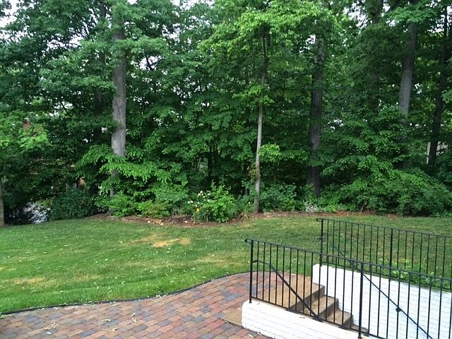 2nd image of 15788 Moncure Ct