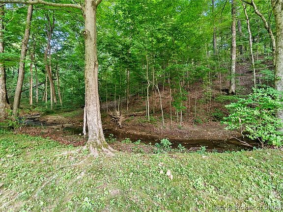3rd image of 4037 Tanglewood Drive
