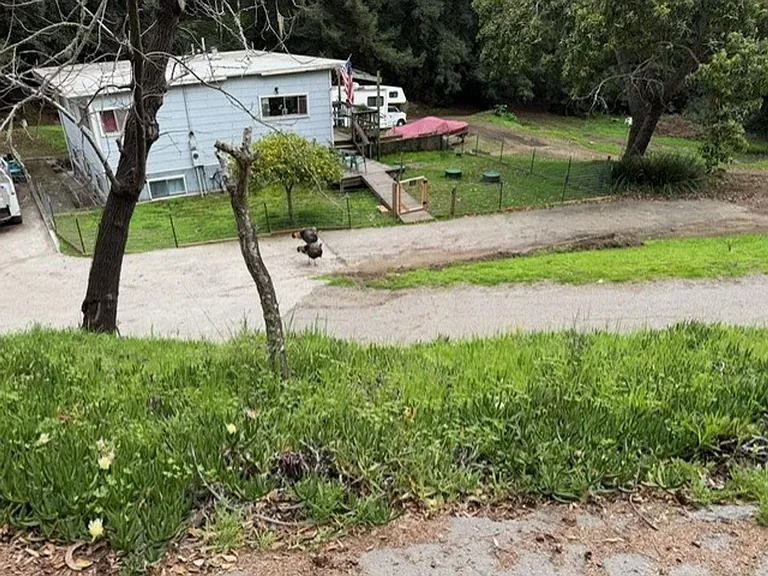 7120 Oak Ridge Rd — Photo 10