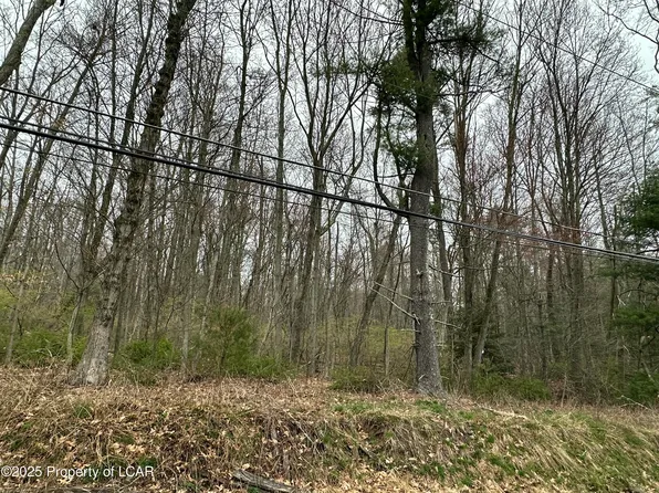 Pond Hill Mountain Rd, Wapwallopen, PA 18660