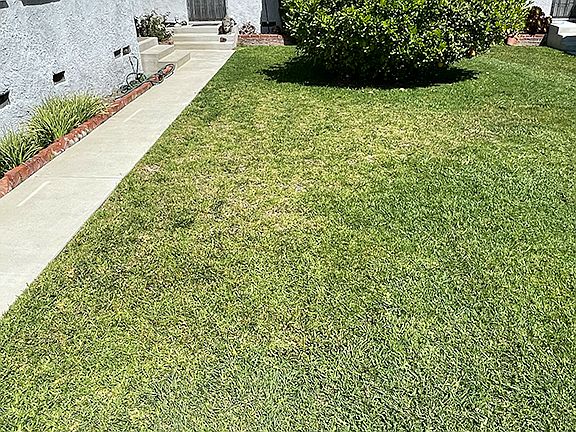 3rd image of 2576 N Buena Vista St