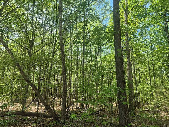 2nd image of Greenfield Dr #20