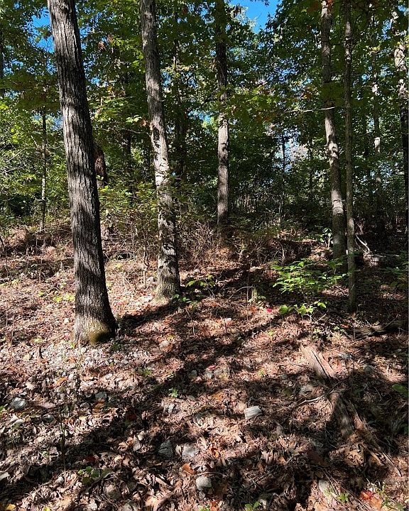 1st image of Rothbury Ln #11