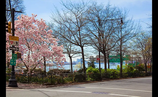 Sold by Douglas Elliman | media 9