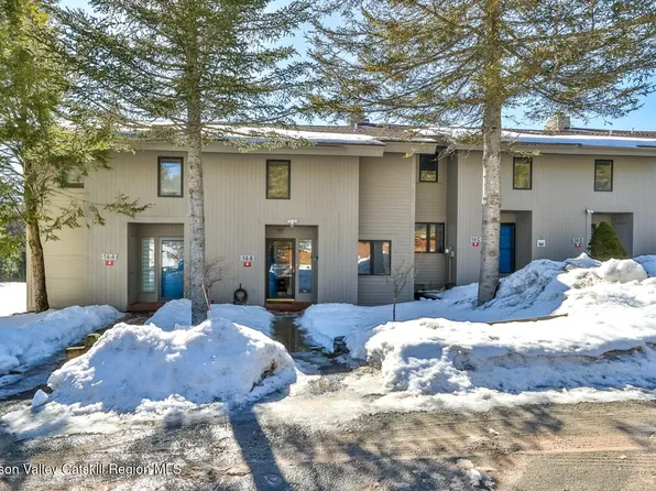 #44 Loo Bridge Lane #14b, Windham, NY 12496