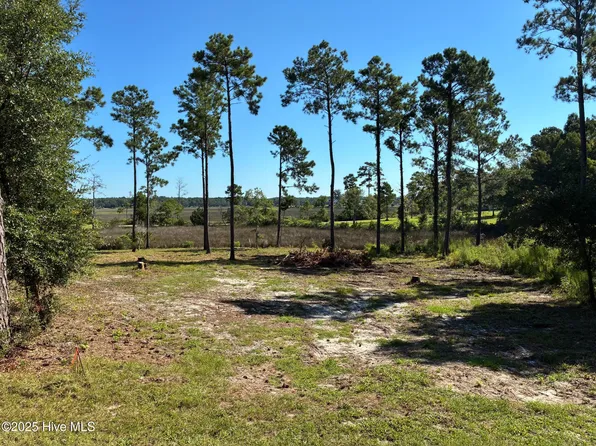 2440 Crape Myrtle Ct SW Lot 45 & Nw 1/2 Of 46, Supply, NC 28462