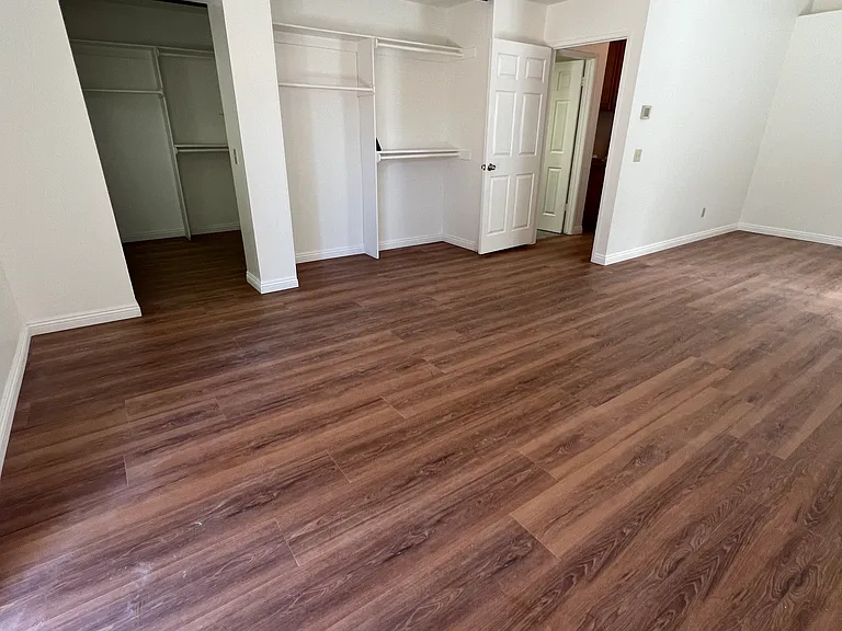 24691 Candlenut Ct — Photo 14