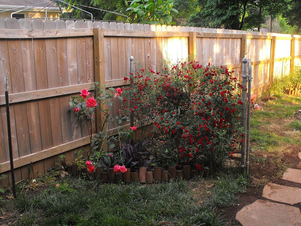 side garden