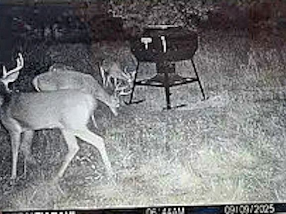 4th image of Unk